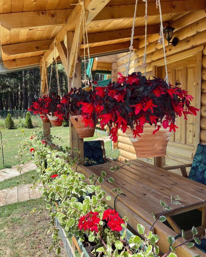 Brvnare Spasic Винци Экстерьер фото